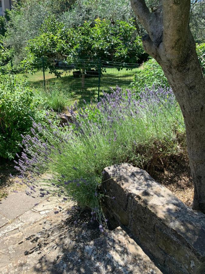 בפורטורוז Apartments Vesna מראה חיצוני תמונה
