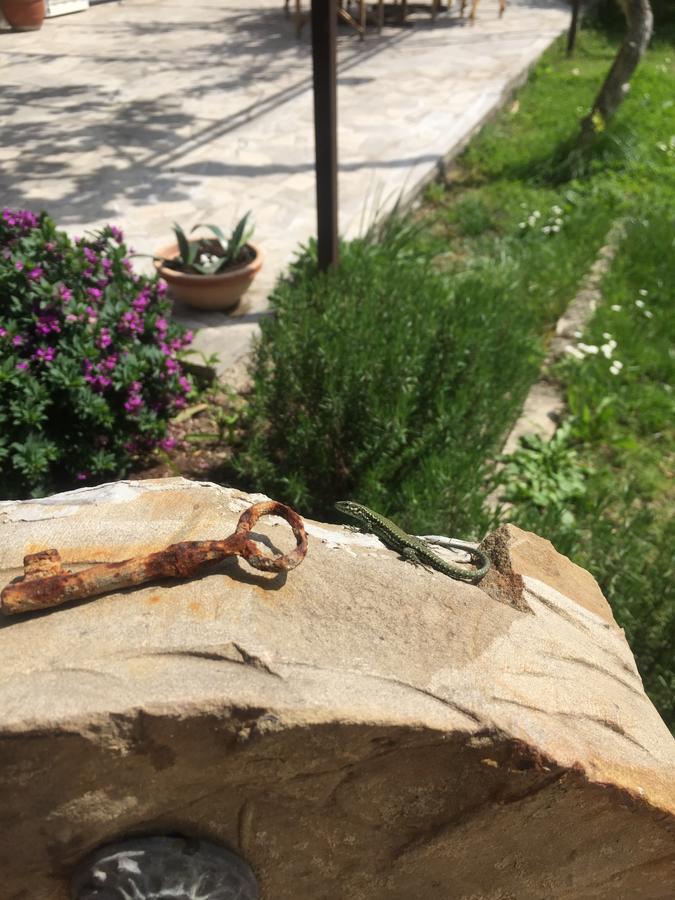 בפורטורוז Apartments Vesna מראה חיצוני תמונה